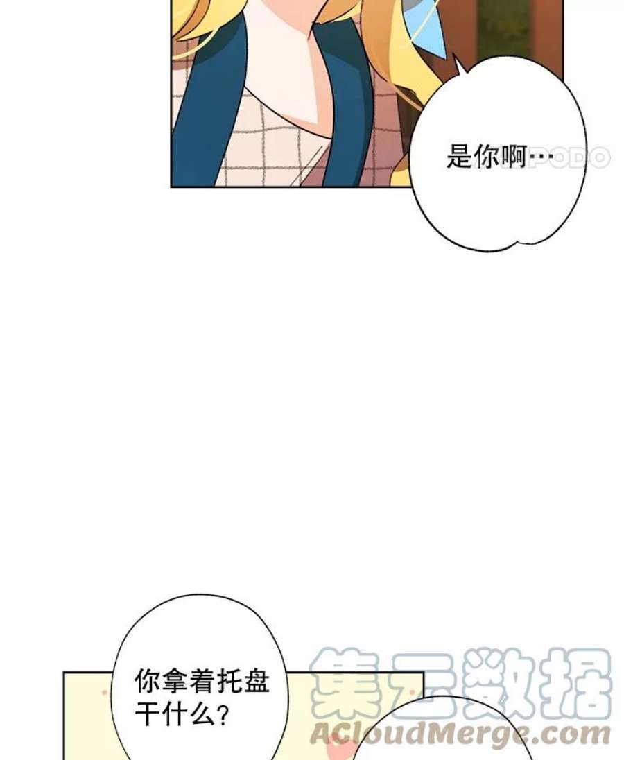 灰姑娘的善良继母28.花朵装饰权