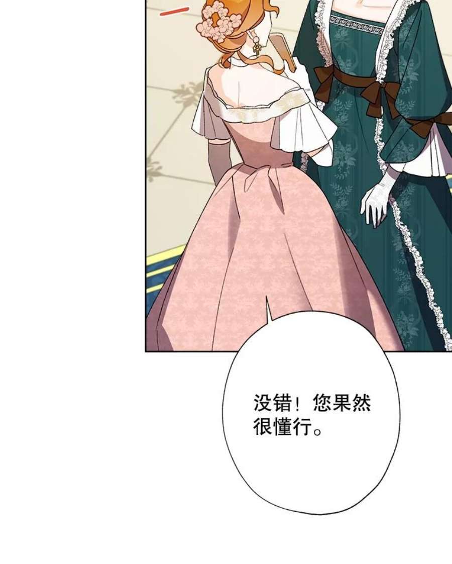 灰姑娘的善良继母28.花朵装饰权