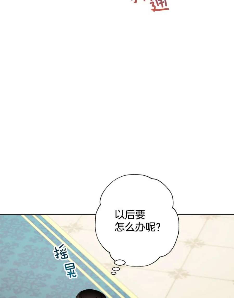 灰姑娘的善良继母28.花朵装饰权