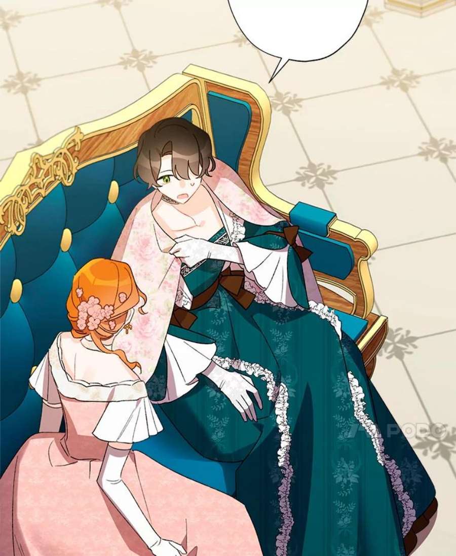 灰姑娘的善良继母28.花朵装饰权