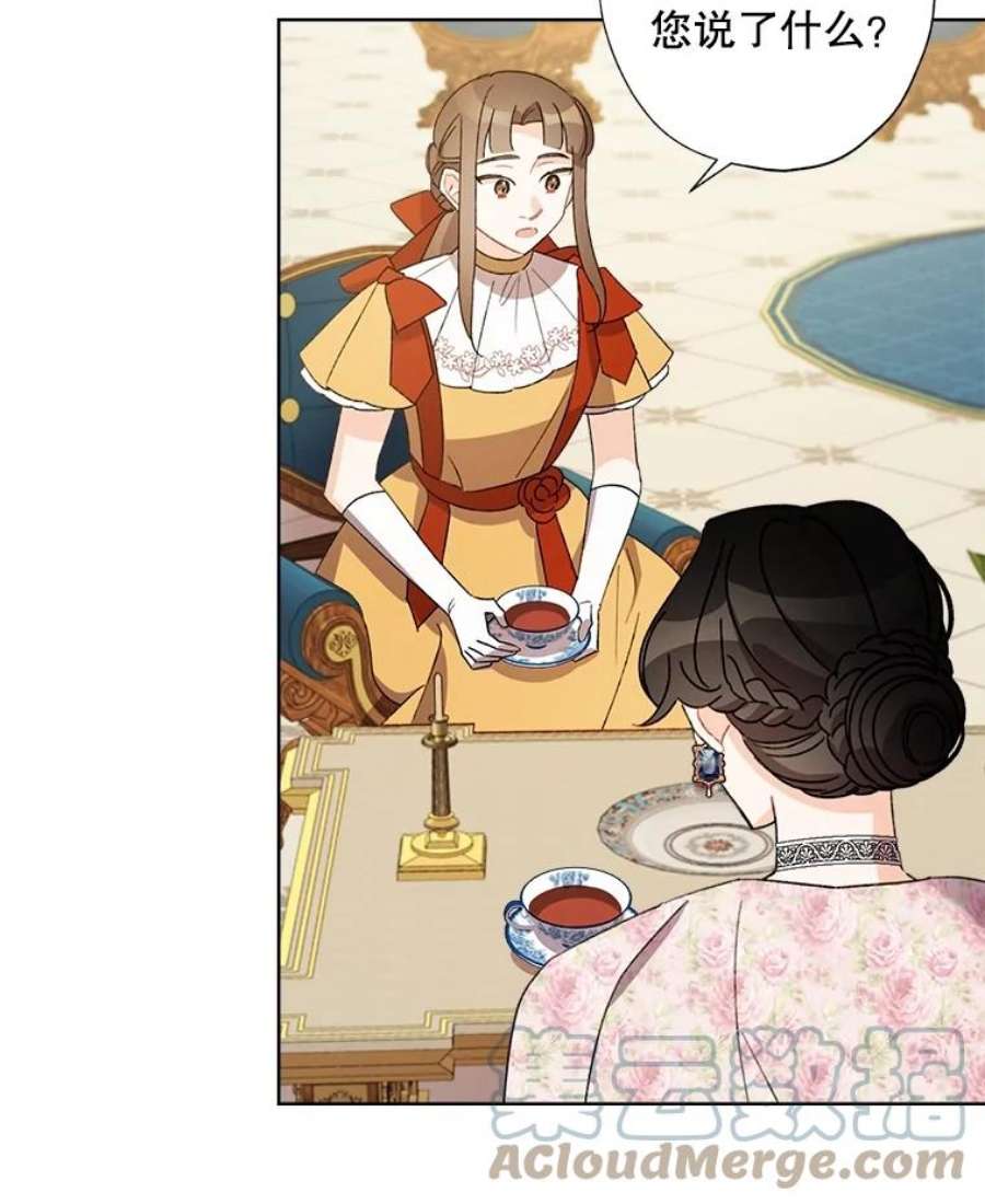 灰姑娘的善良继母28.花朵装饰权