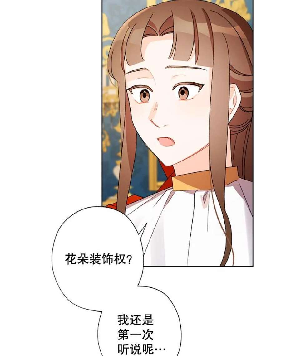 灰姑娘的善良继母28.花朵装饰权