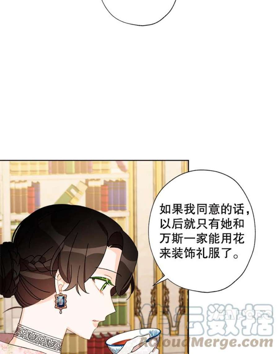灰姑娘的善良继母28.花朵装饰权
