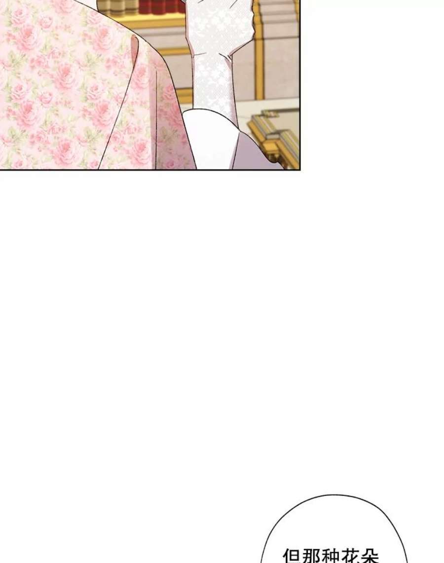 灰姑娘的善良继母28.花朵装饰权