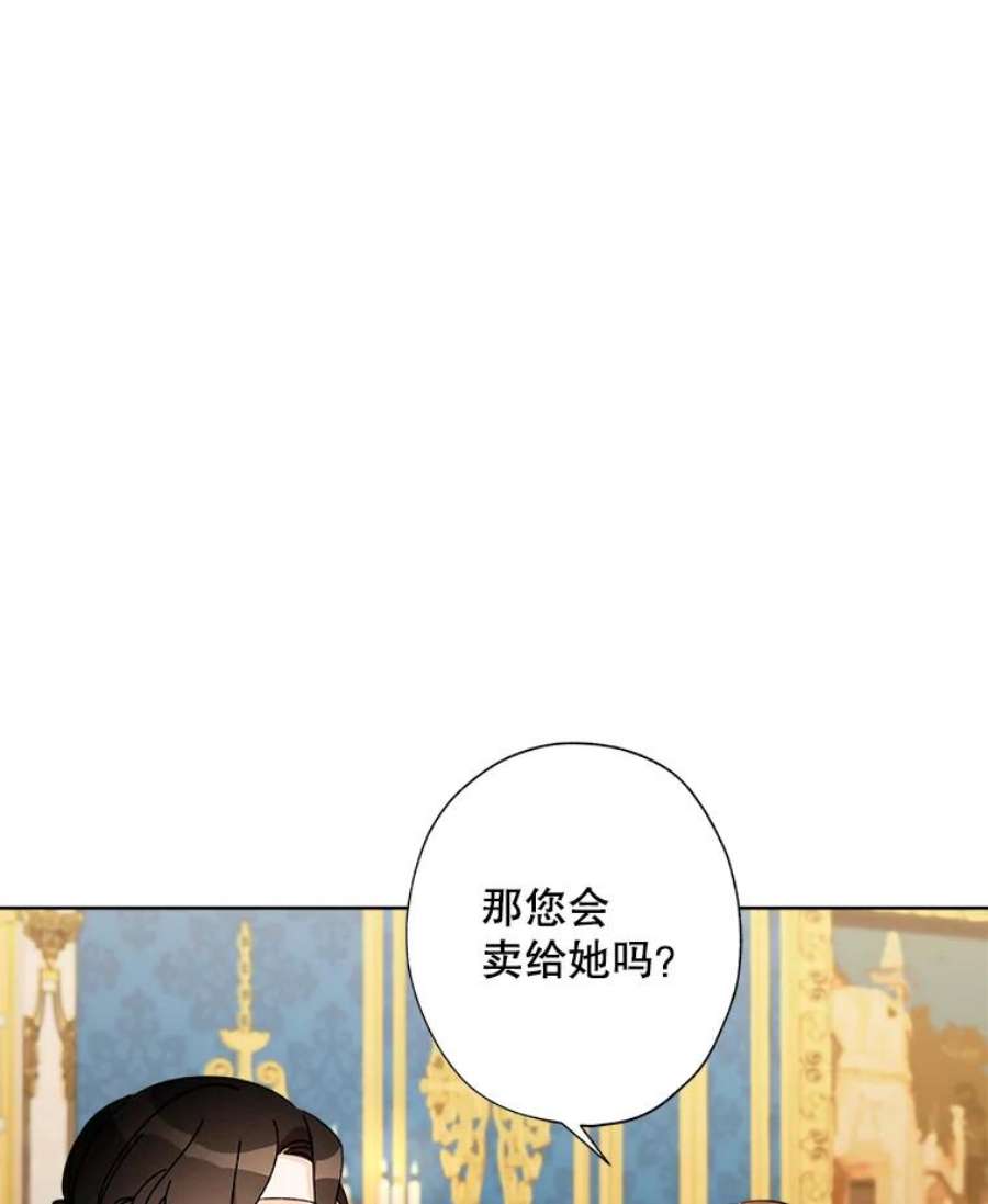 灰姑娘的善良继母28.花朵装饰权