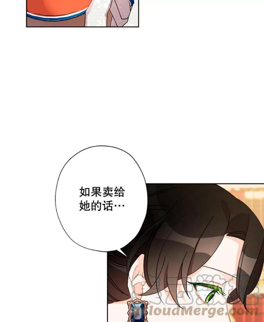 灰姑娘的善良继母28.花朵装饰权