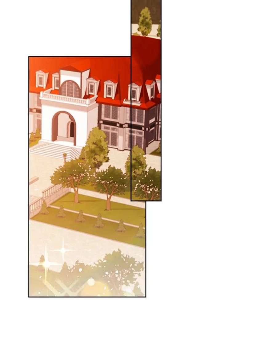 灰姑娘的善良继母28.花朵装饰权