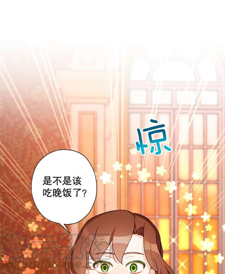 灰姑娘的善良继母28.花朵装饰权