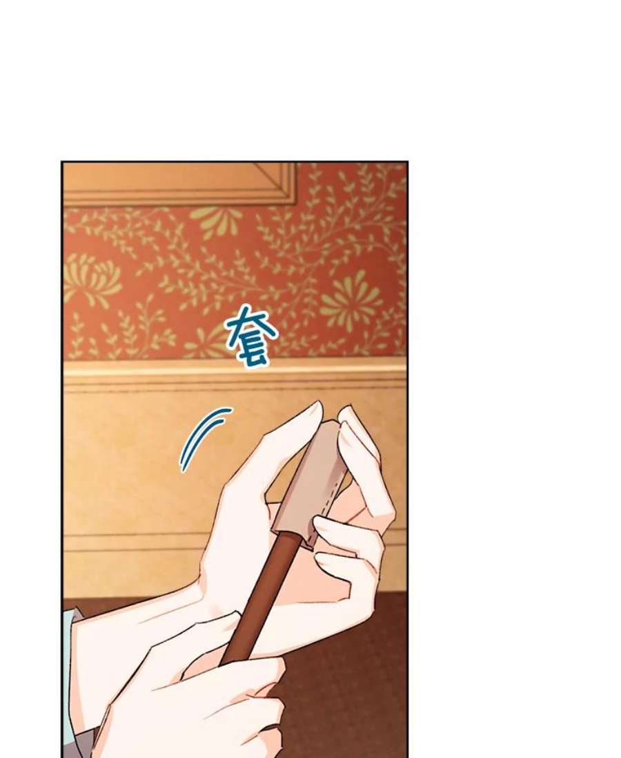 灰姑娘的善良继母28.花朵装饰权