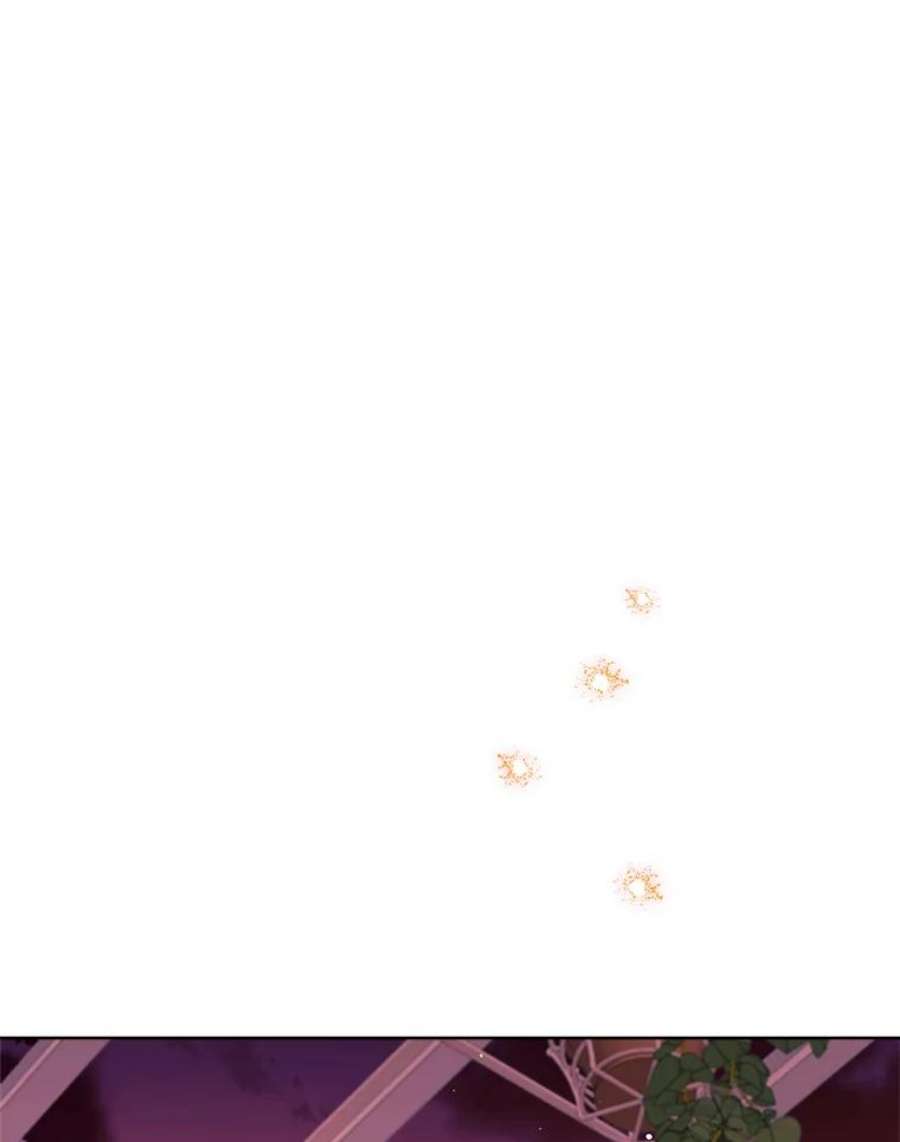 灰姑娘的善良继母29.暖房里的晚餐