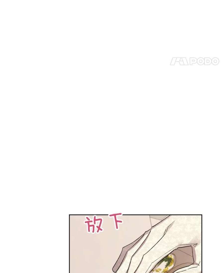 灰姑娘的善良继母31.下午茶（1）