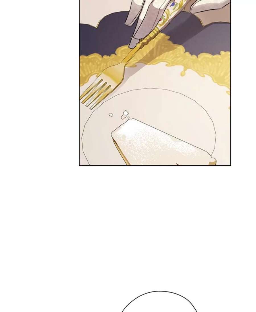 灰姑娘的善良继母31.下午茶（1）