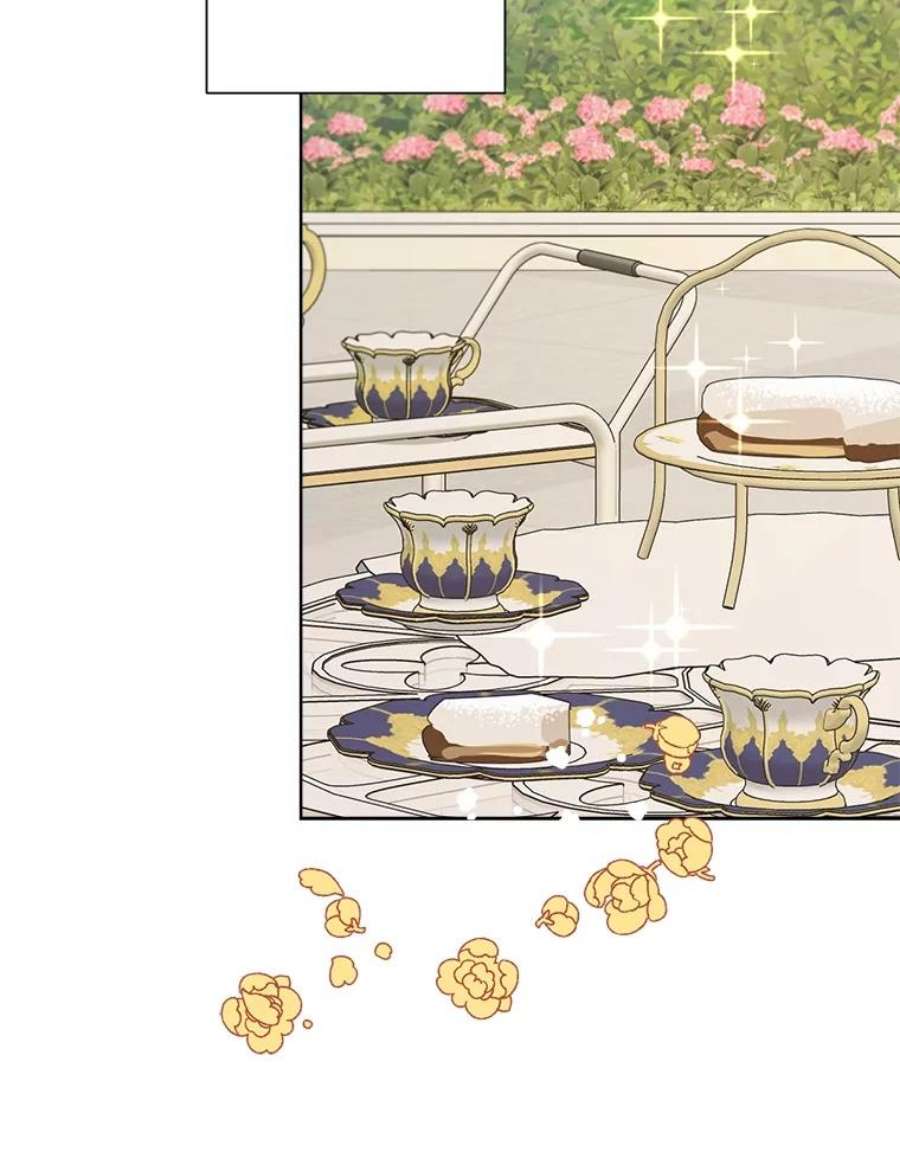 灰姑娘的善良继母31.下午茶（1）