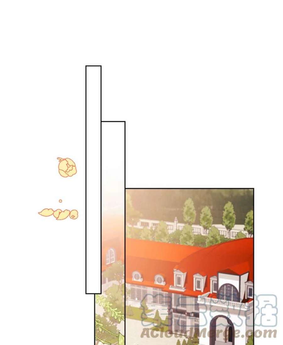 灰姑娘的善良继母33.体面