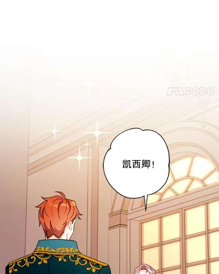 灰姑娘的善良继母35.王子的剑术老师