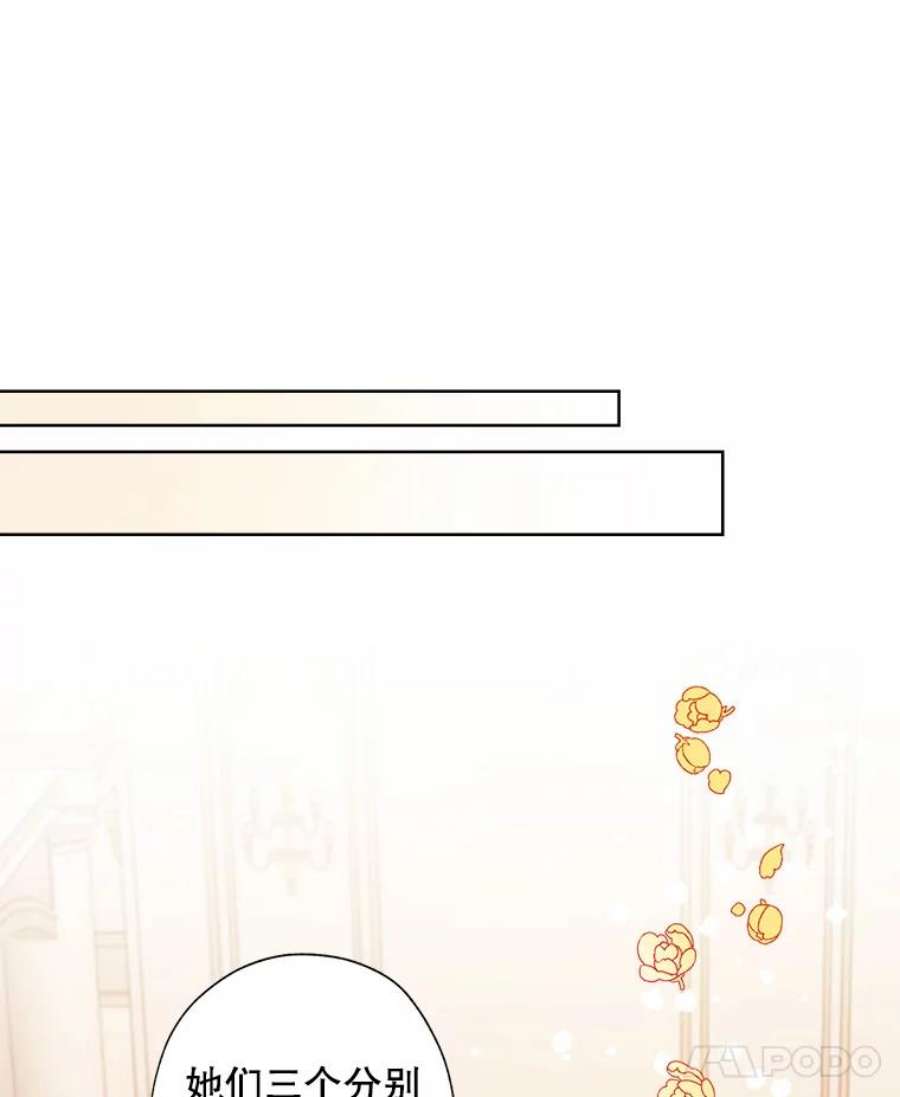 灰姑娘的善良继母35.王子的剑术老师