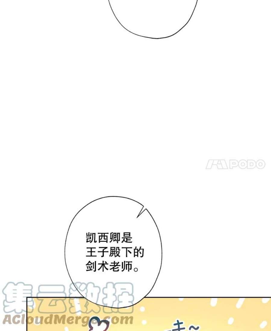 灰姑娘的善良继母35.王子的剑术老师