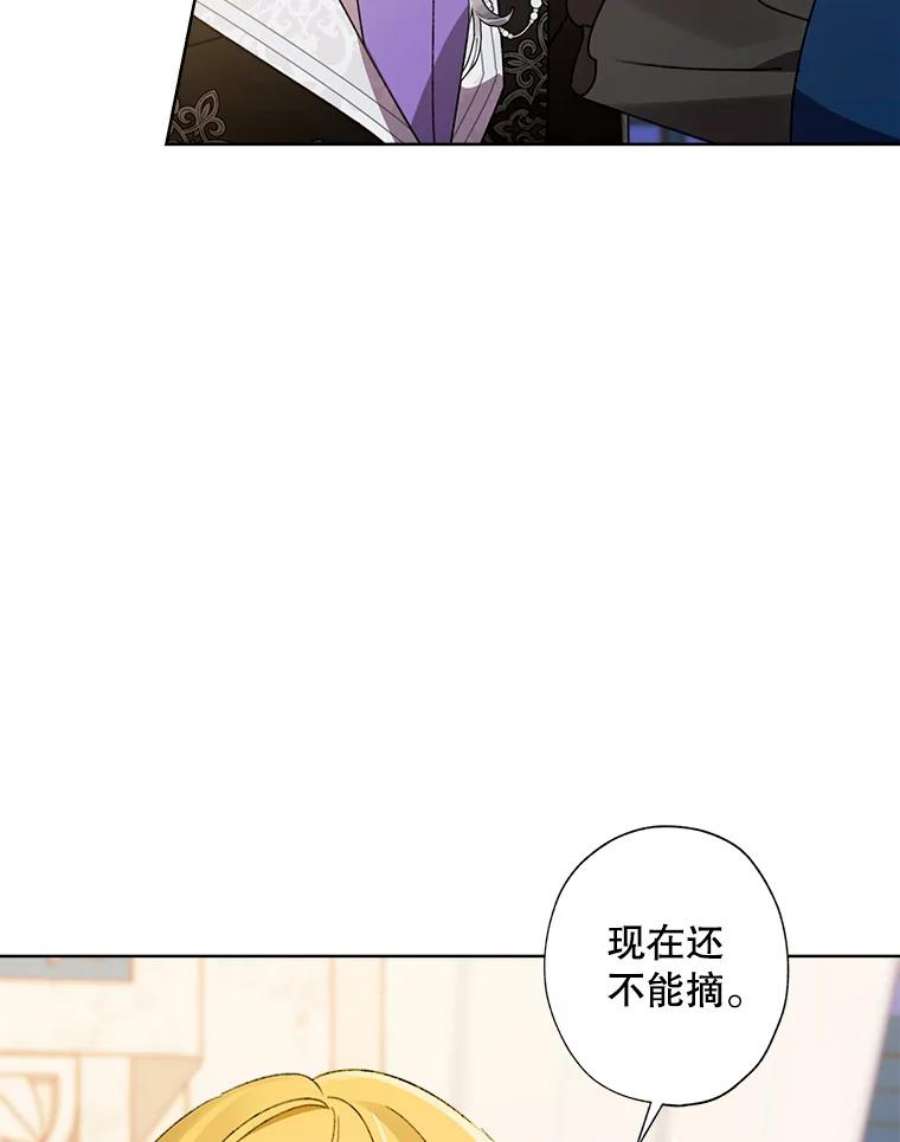 灰姑娘的善良继母43.丹尼尔的魔法