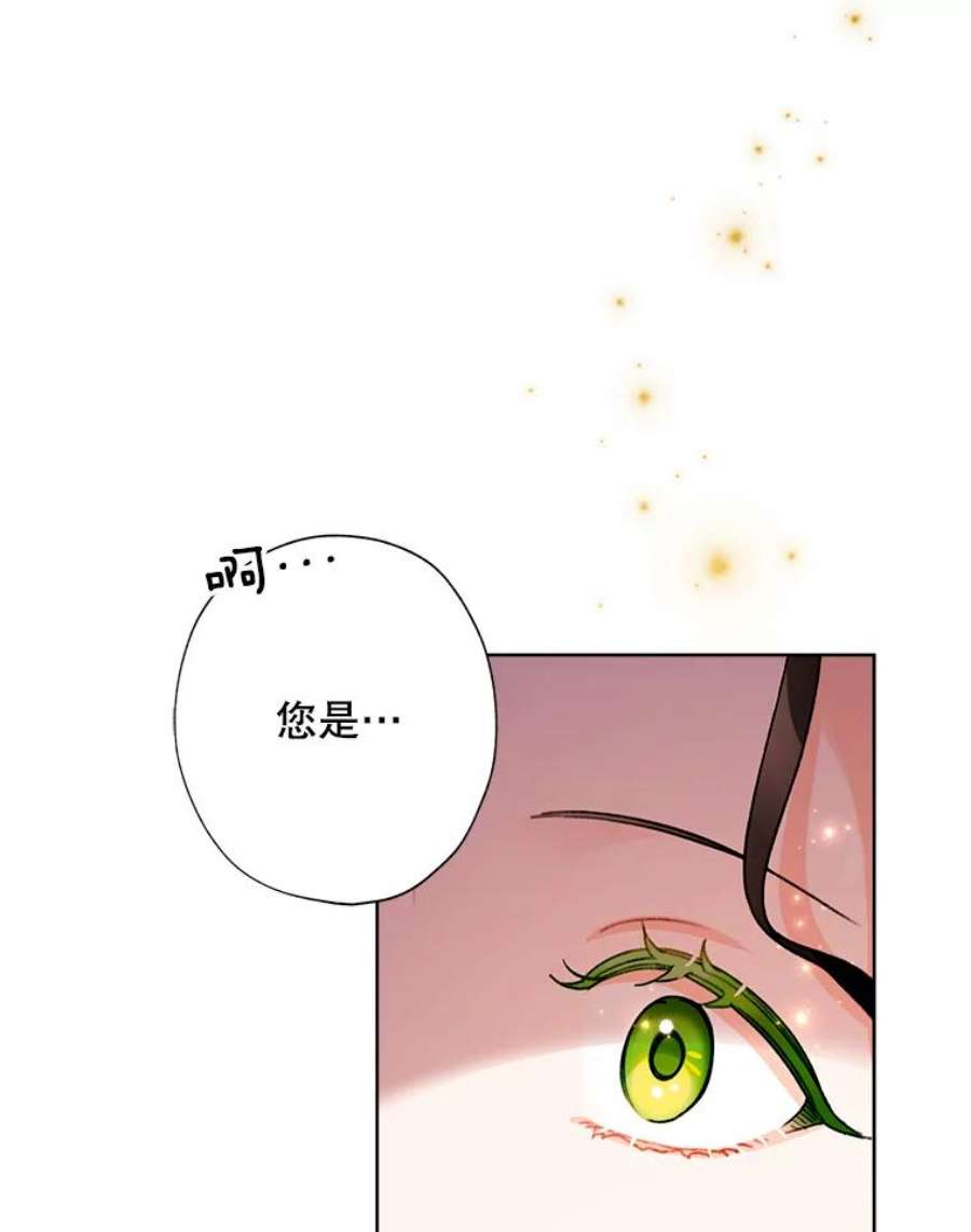 灰姑娘的善良继母43.丹尼尔的魔法