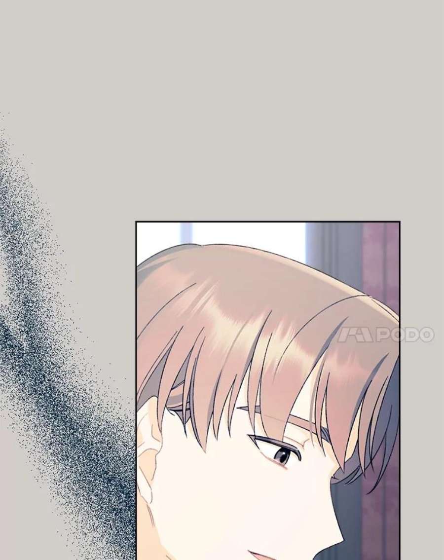 灰姑娘的善良继母46.大手大脚的黎安