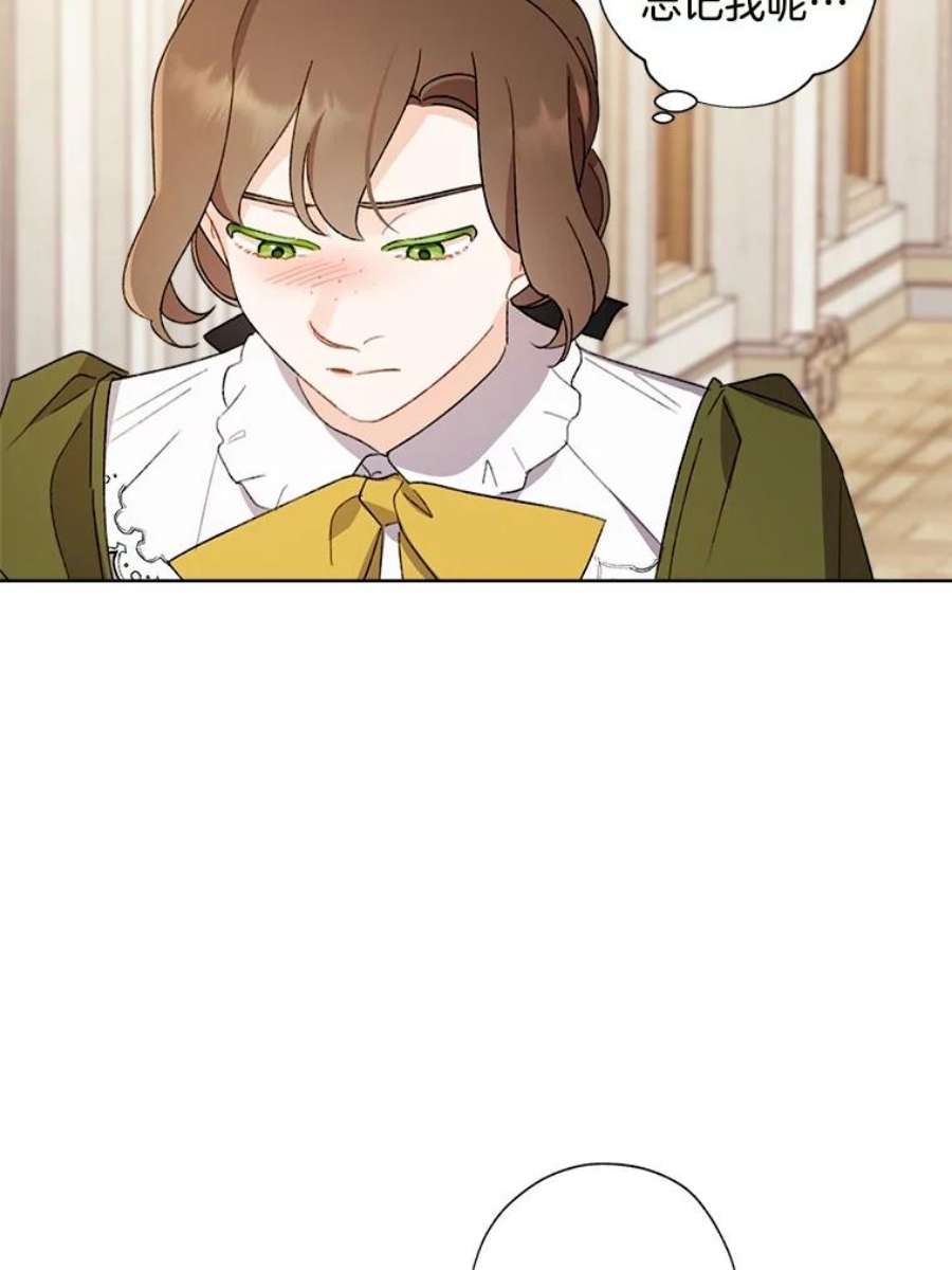 灰姑娘的善良继母48.英雄救美