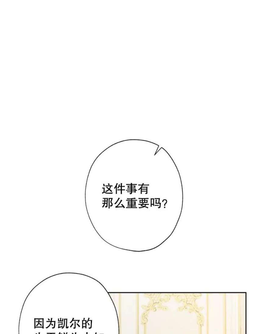 灰姑娘的善良继母49.画像上的人