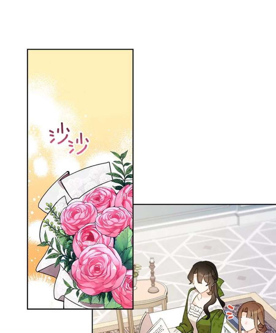 灰姑娘的善良继母53.爱丽丝的追求者