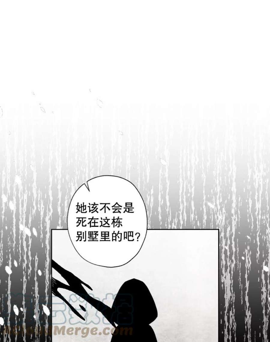 灰姑娘的善良继母53.爱丽丝的追求者