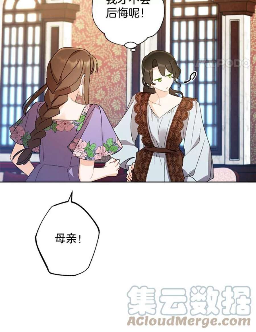 灰姑娘的善良继母59.第二束花