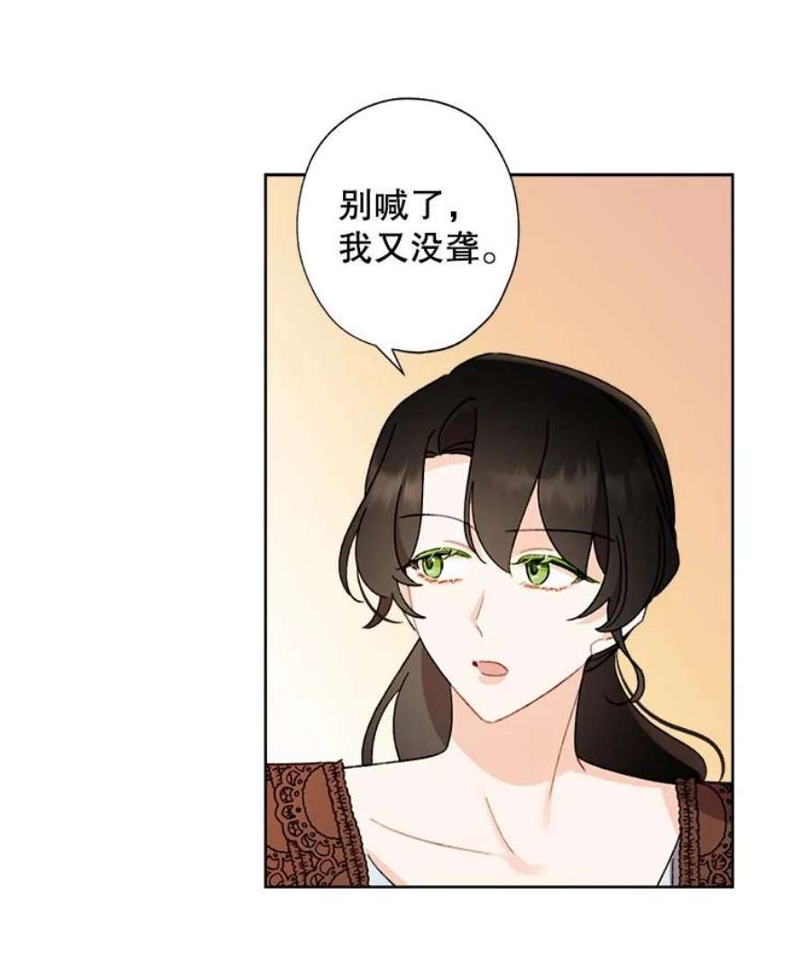 灰姑娘的善良继母59.第二束花