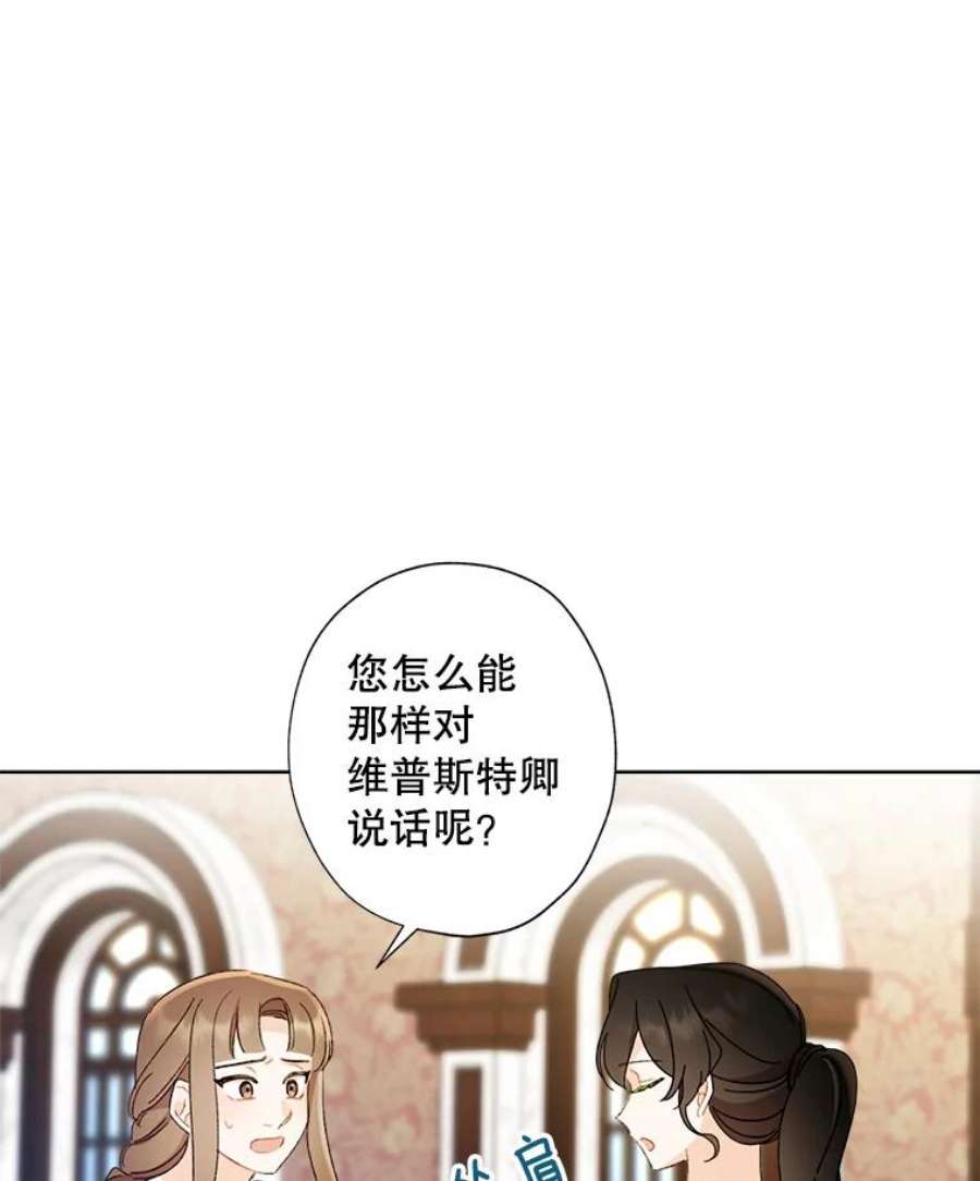 灰姑娘的善良继母59.第二束花