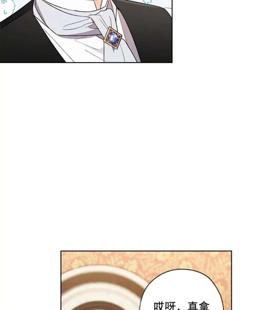 灰姑娘的善良继母59.第二束花