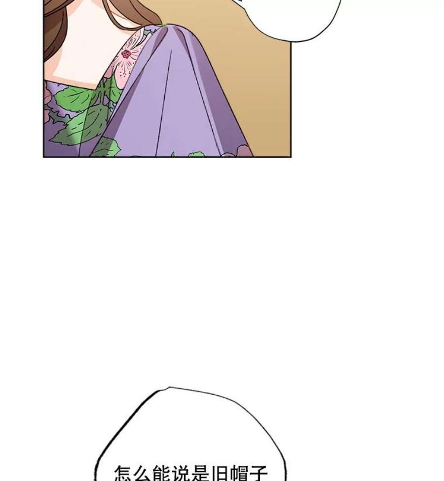 灰姑娘的善良继母59.第二束花