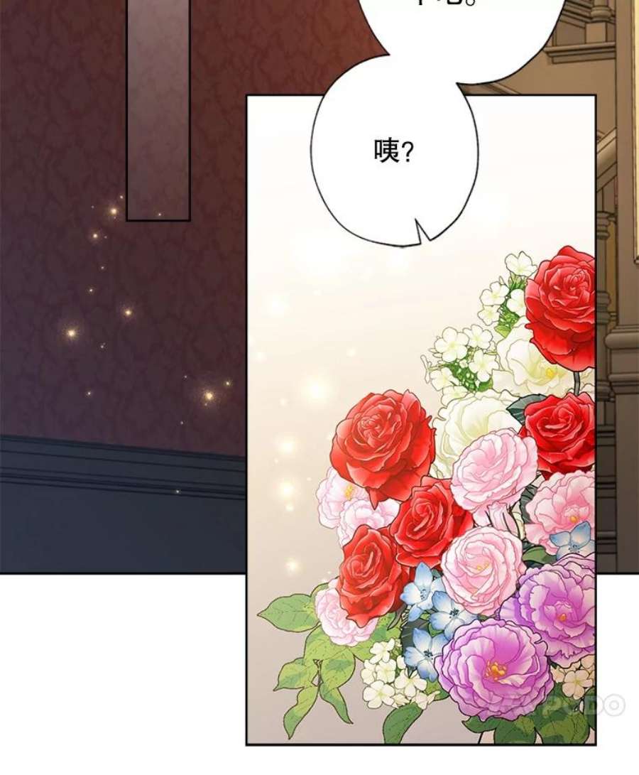 灰姑娘的善良继母59.第二束花