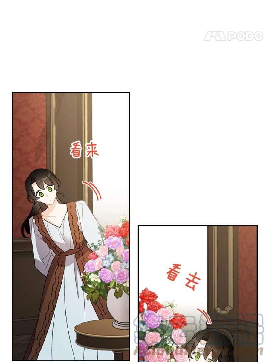 灰姑娘的善良继母59.第二束花