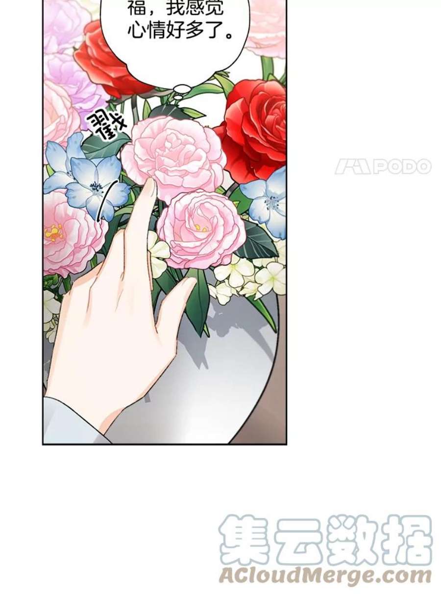 灰姑娘的善良继母59.第二束花