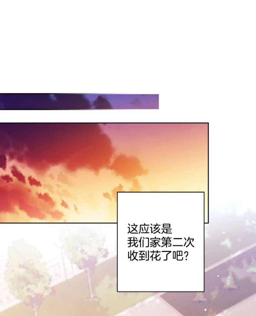 灰姑娘的善良继母59.第二束花