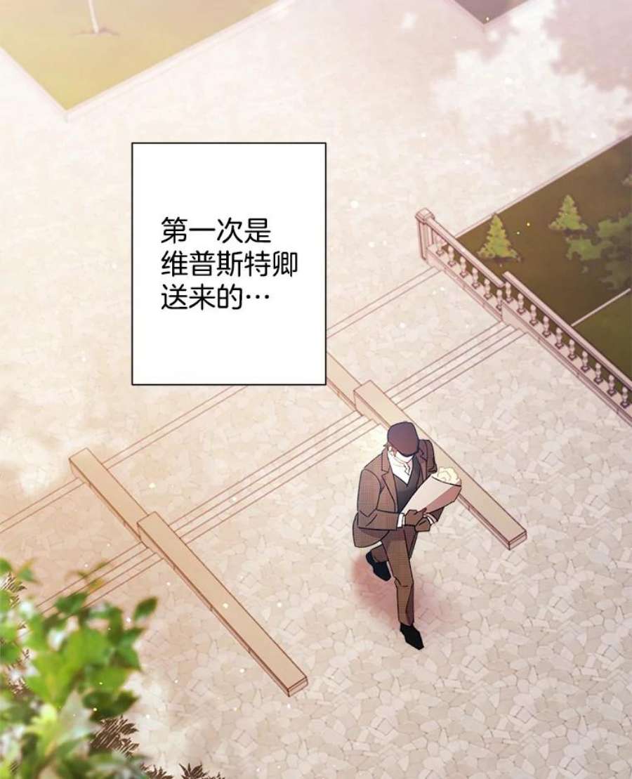 灰姑娘的善良继母59.第二束花