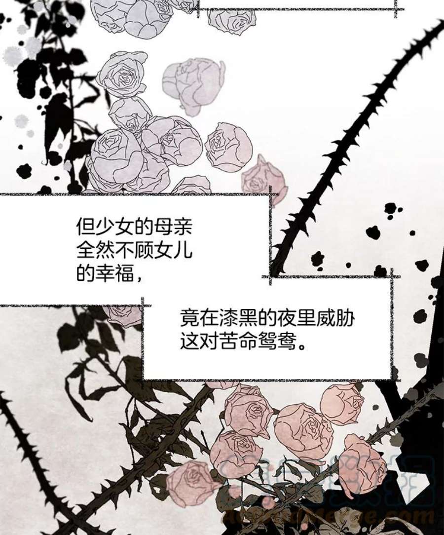 灰姑娘的善良继母66.合适的买家