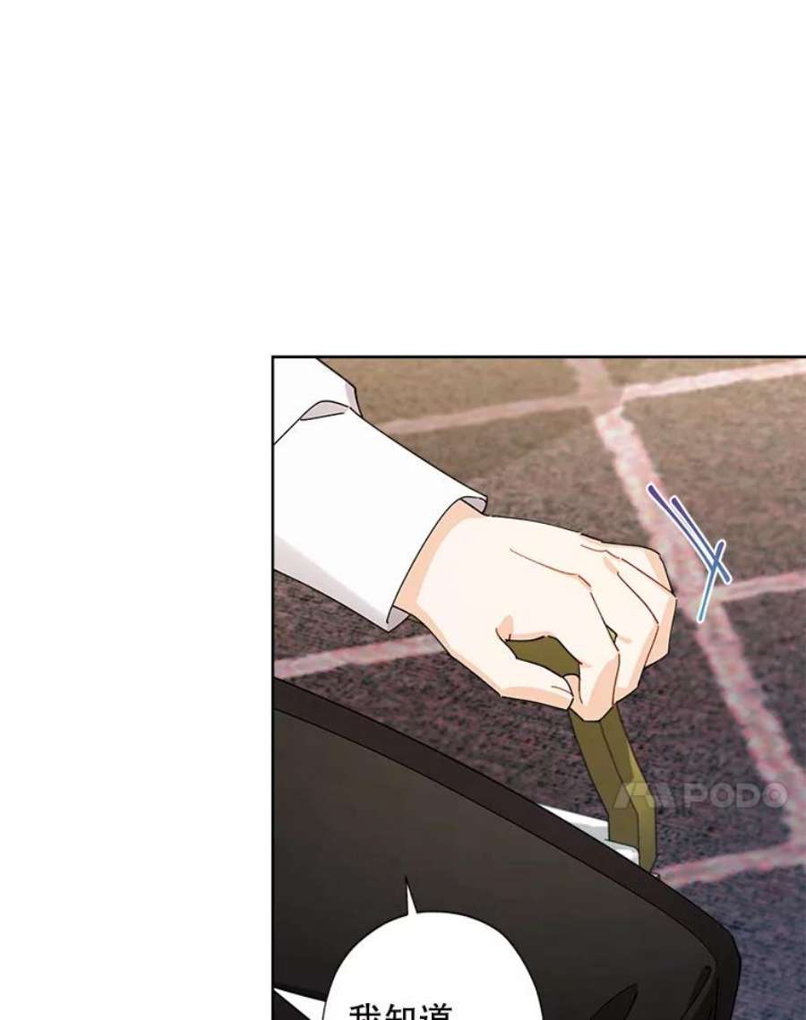 灰姑娘的善良继母67.澄清丑闻