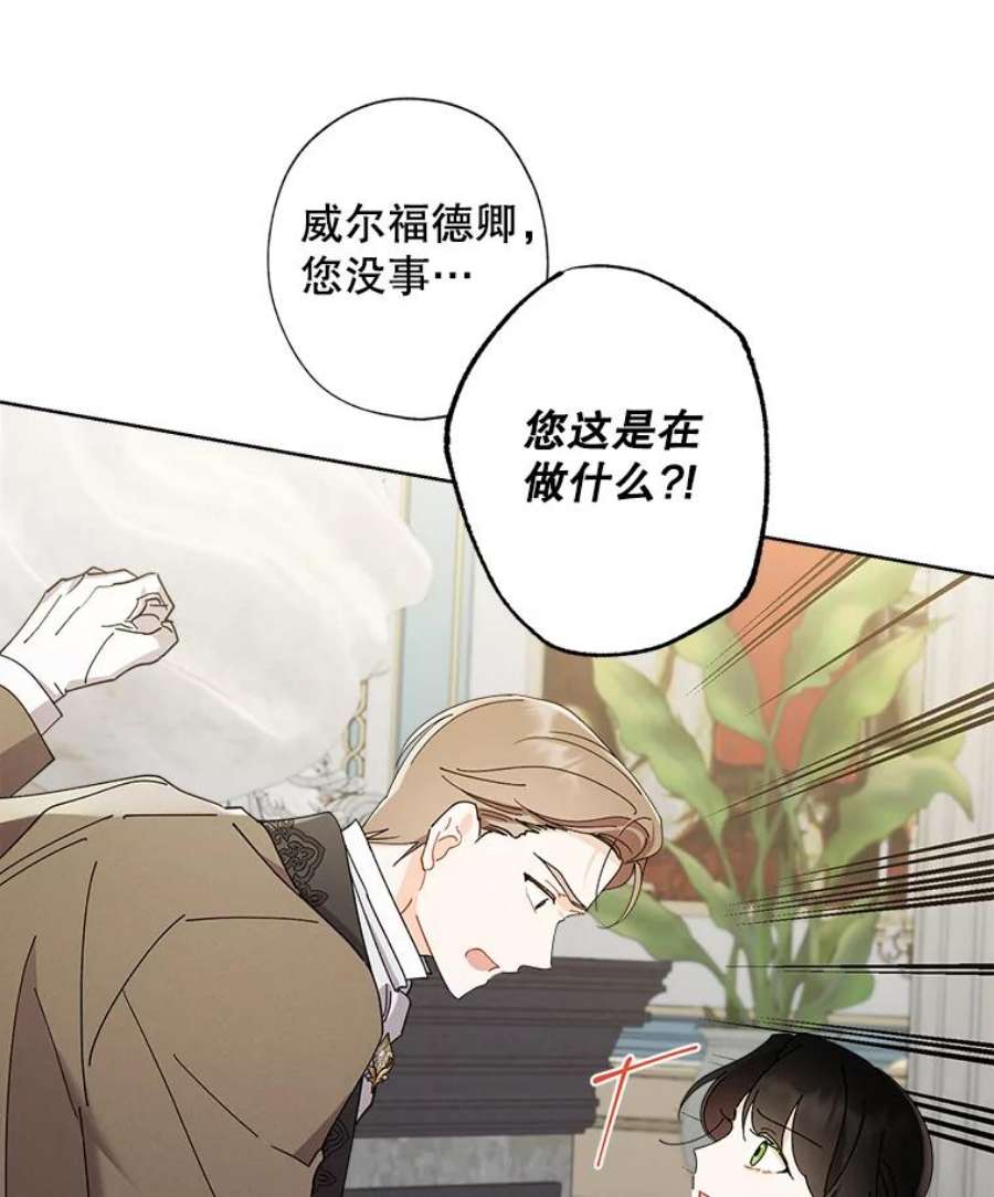 灰姑娘的善良继母71.被烧掉的画