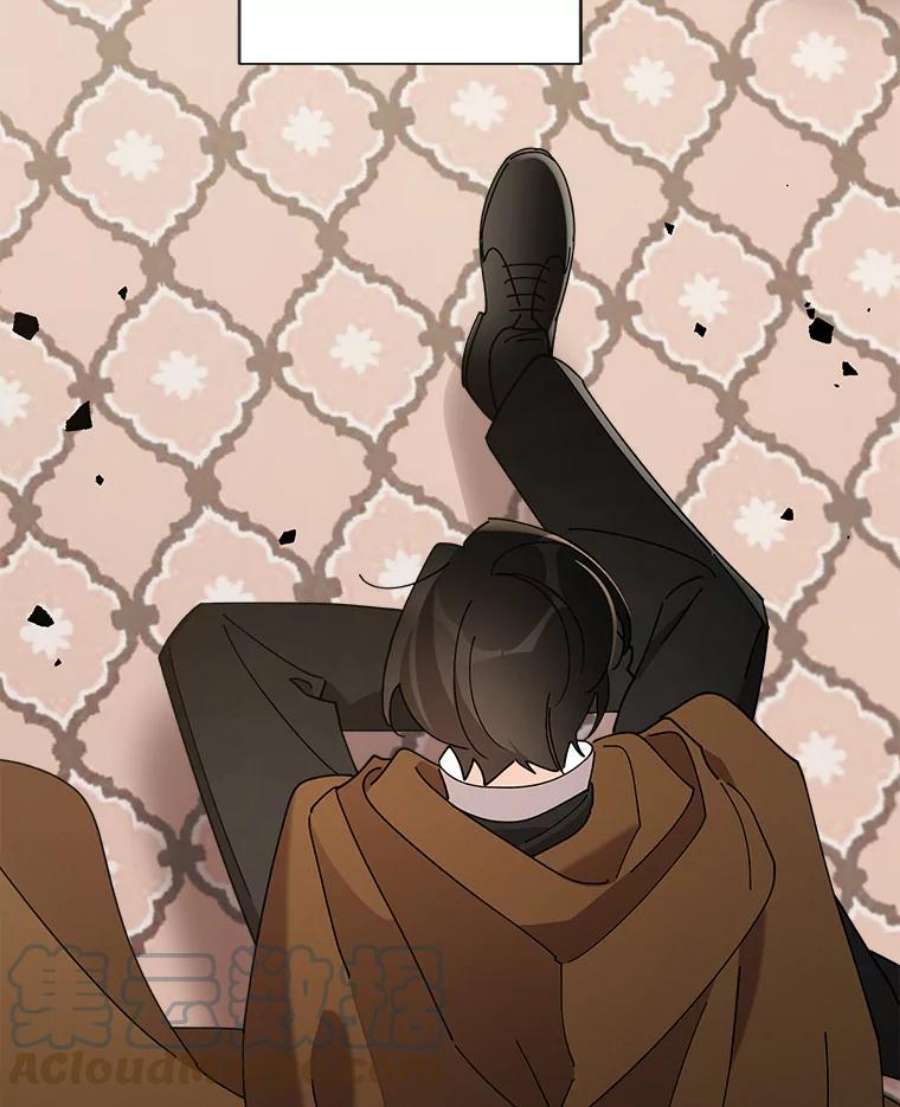 灰姑娘的善良继母71.被烧掉的画