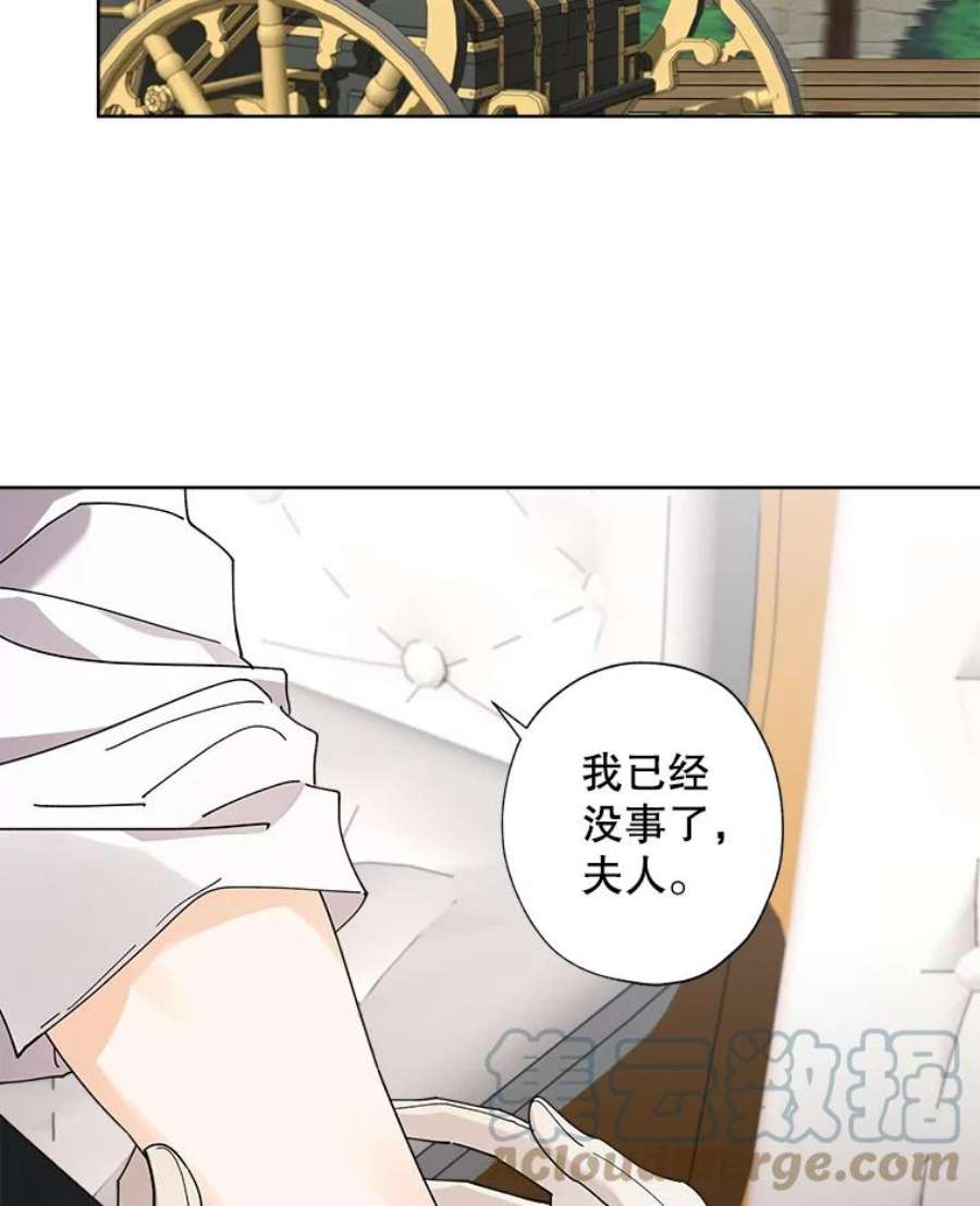 灰姑娘的善良继母71.被烧掉的画