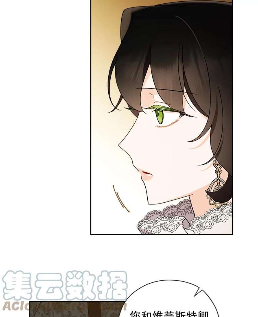 灰姑娘的善良继母71.被烧掉的画