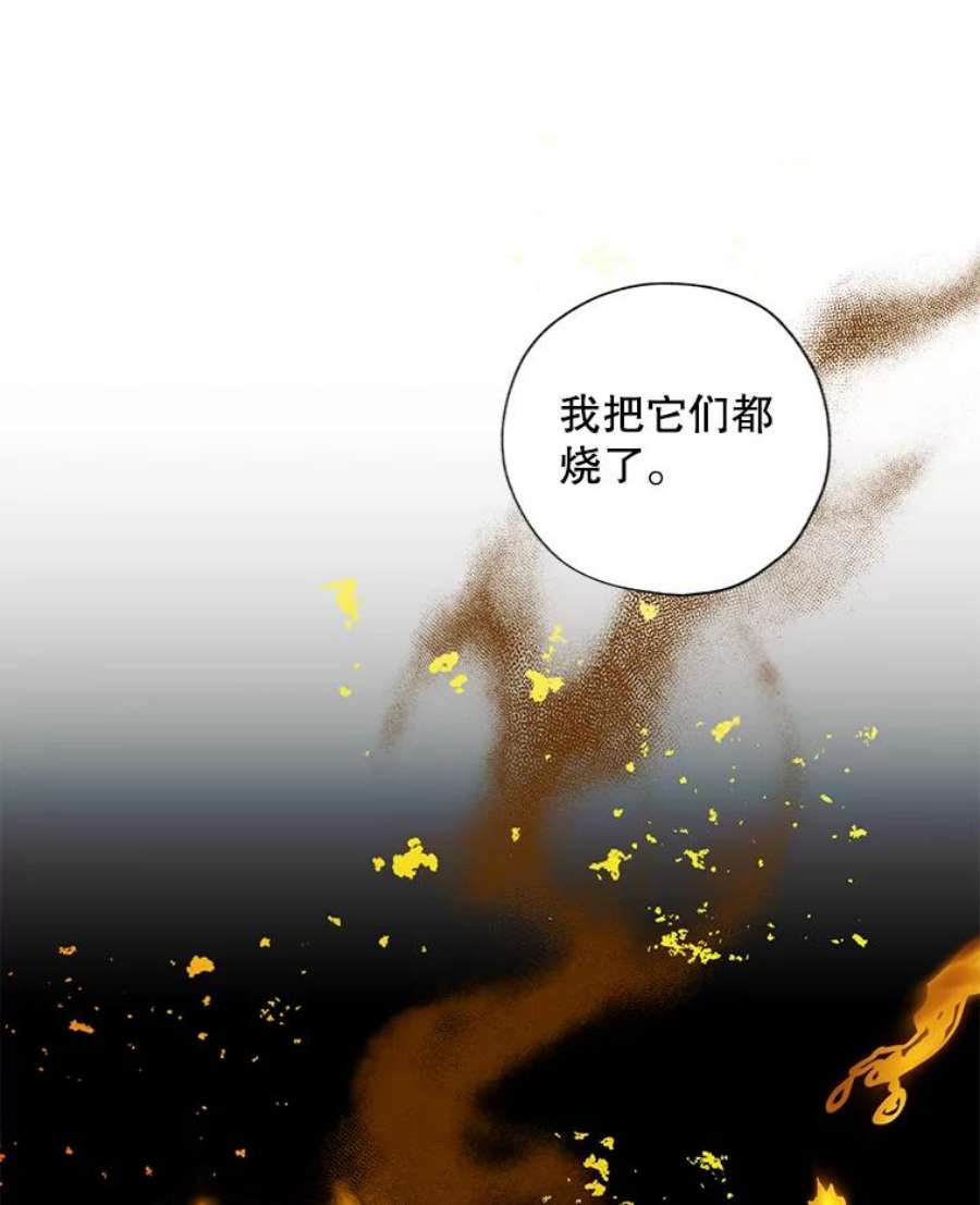 灰姑娘的善良继母71.被烧掉的画