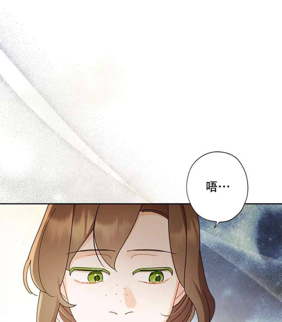 灰姑娘的善良继母71.被烧掉的画