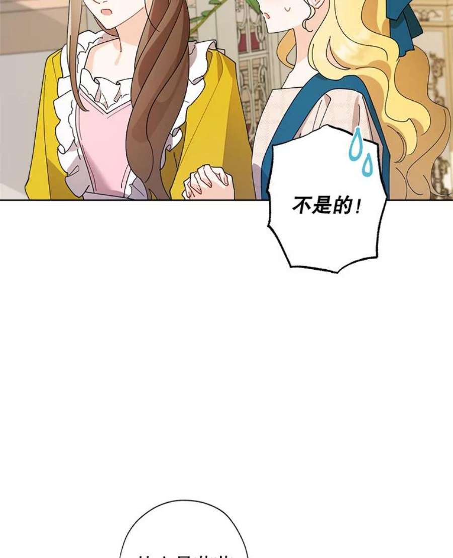 灰姑娘的善良继母74.米德蕾的决心