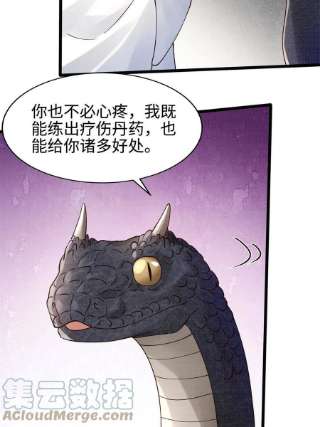 大道争锋08 左右逢源