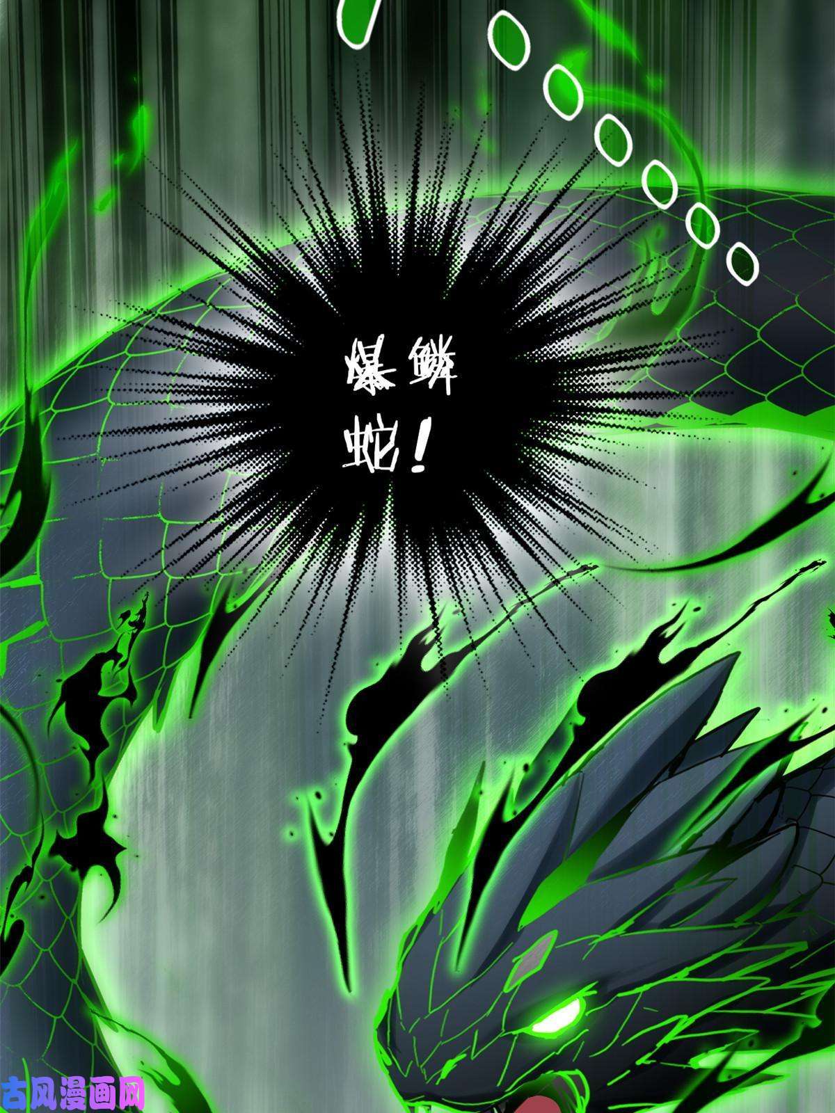 我只想安静地打游戏11 传奇伴生宠