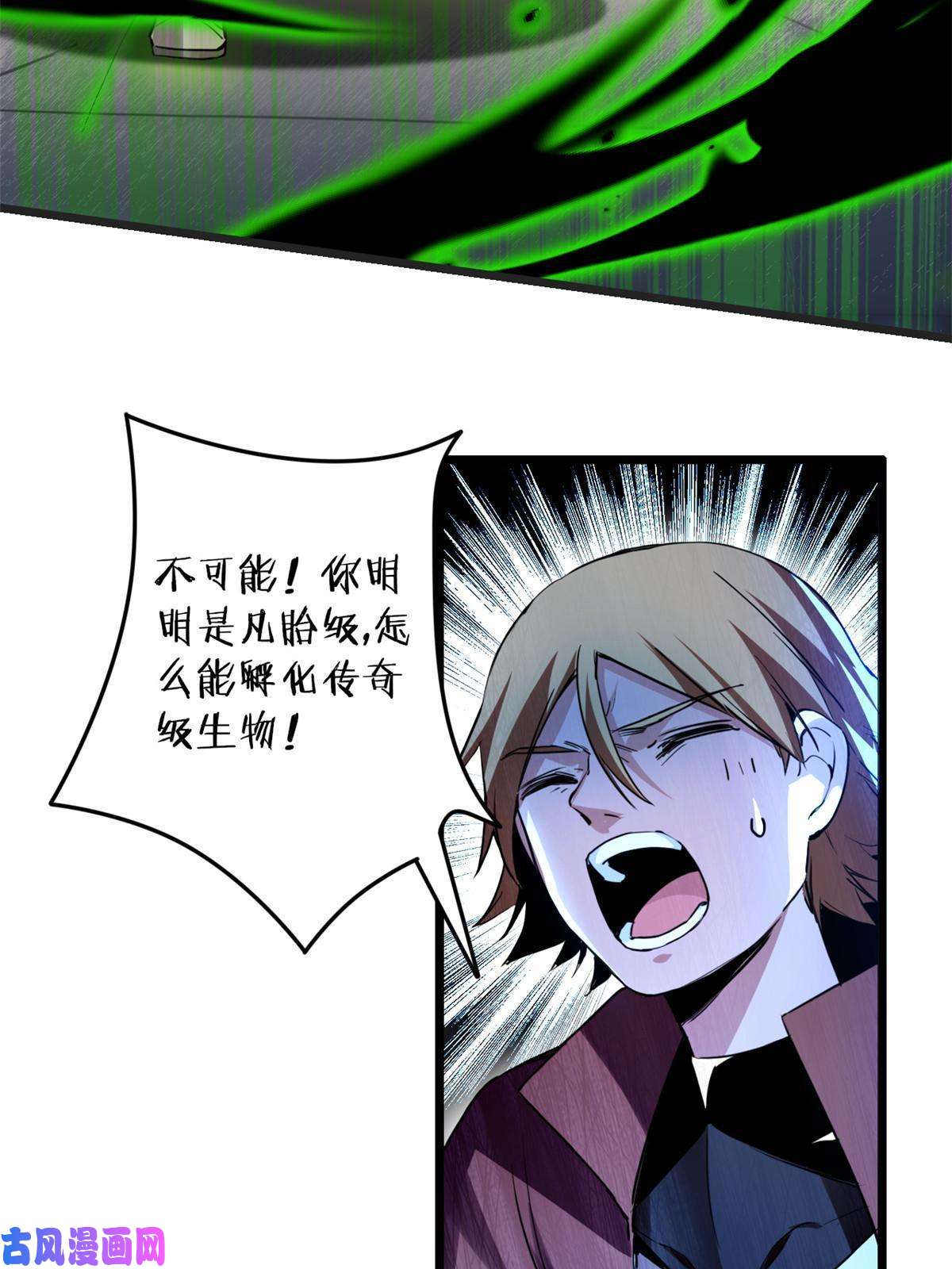 我只想安静地打游戏11 传奇伴生宠